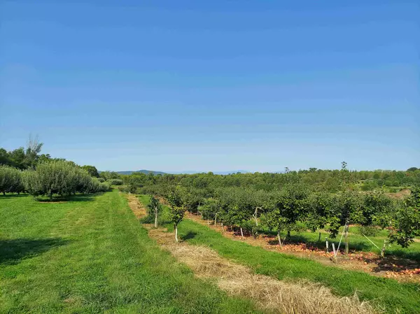 Discover Rhoadesville, Virginia: Your Ideal Country Retreat Near Orange,Sean Jones