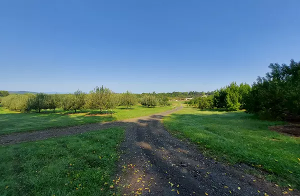 The Ultimate Guide to Living in Unionville, VA: Small-Town Charm Meets Big Possibilities,Sean Jones