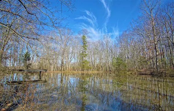 Just Sold in Rhoadesville, VA: What This Hidden Log Home Taught Us About Selling Unique Properties,Sean Jones