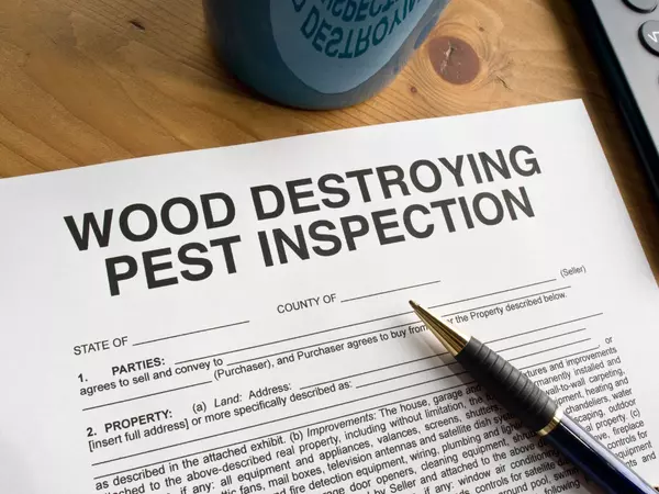 Why Pest Inspections Matter When Buying or Selling a Home in Virginia