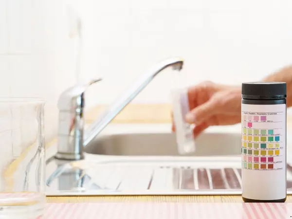 Selling a Home With a Well? Here's What You Need to Know About Water Quality Testing