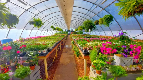 Deep Roots Home and Garden Center in Rhoadesville, VA | Your Local Landscaping Partner