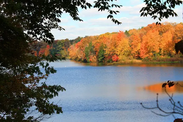 What Downsizing From a Reston Home Costs, and What You Actually Net