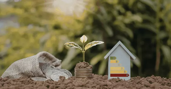 Sustainable Homes Spotlight in NoVA: October Eco-Friendly Features in Ashburn and Leesburg