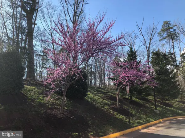 6070 ASTER HAVEN CIR, Haymarket, VA 20169