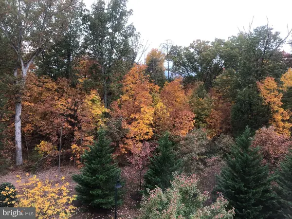 6070 ASTER HAVEN CIR, Haymarket, VA 20169