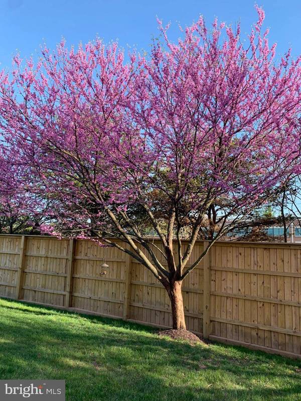 6916 TRED AVON PL, Gainesville, VA 20155