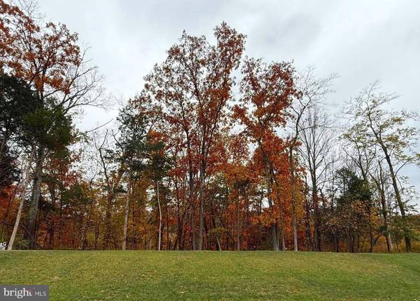 15117 HAYMARKET LANDING DR, Haymarket, VA 20169