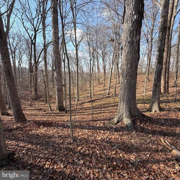 11720 OLYMPIC DR, Manassas, VA 20112