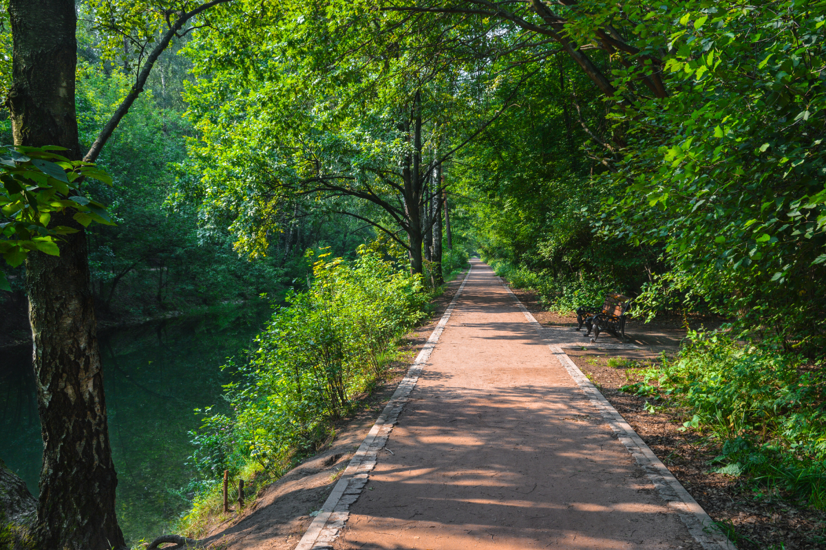 peaceful walking trail