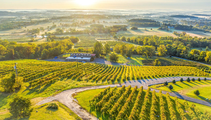 Loudoun County Real Estate and Economy