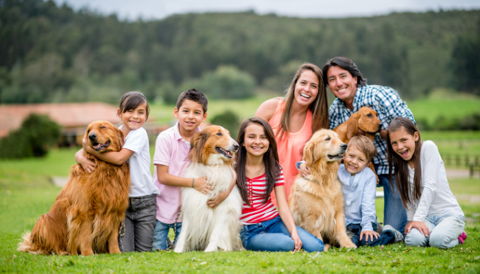 Northern Virginia Summer Events