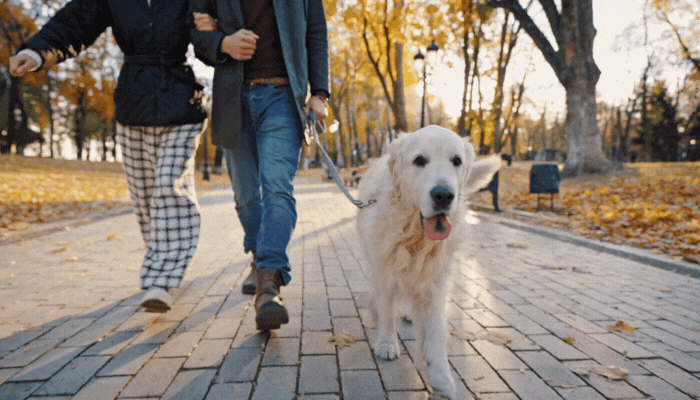 Walkable Suburbs in Northern Virginia