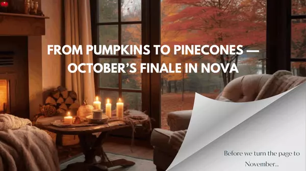 From Pumpkins to Pinecones — October’s Finale in NoVA