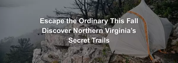 Northern Virginia’s Hidden Hiking Spots Perfect for Fall Weekends