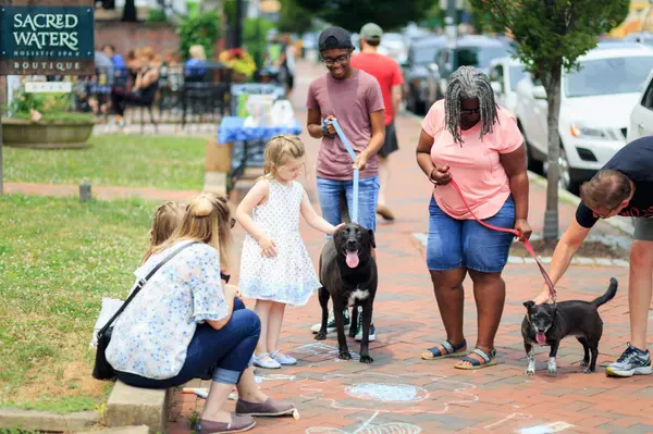 Best Dog Parks in Bowie & Upper Marlboro, MD: Locations, Amenities, and Breed Policies,Kelly J Vaughn