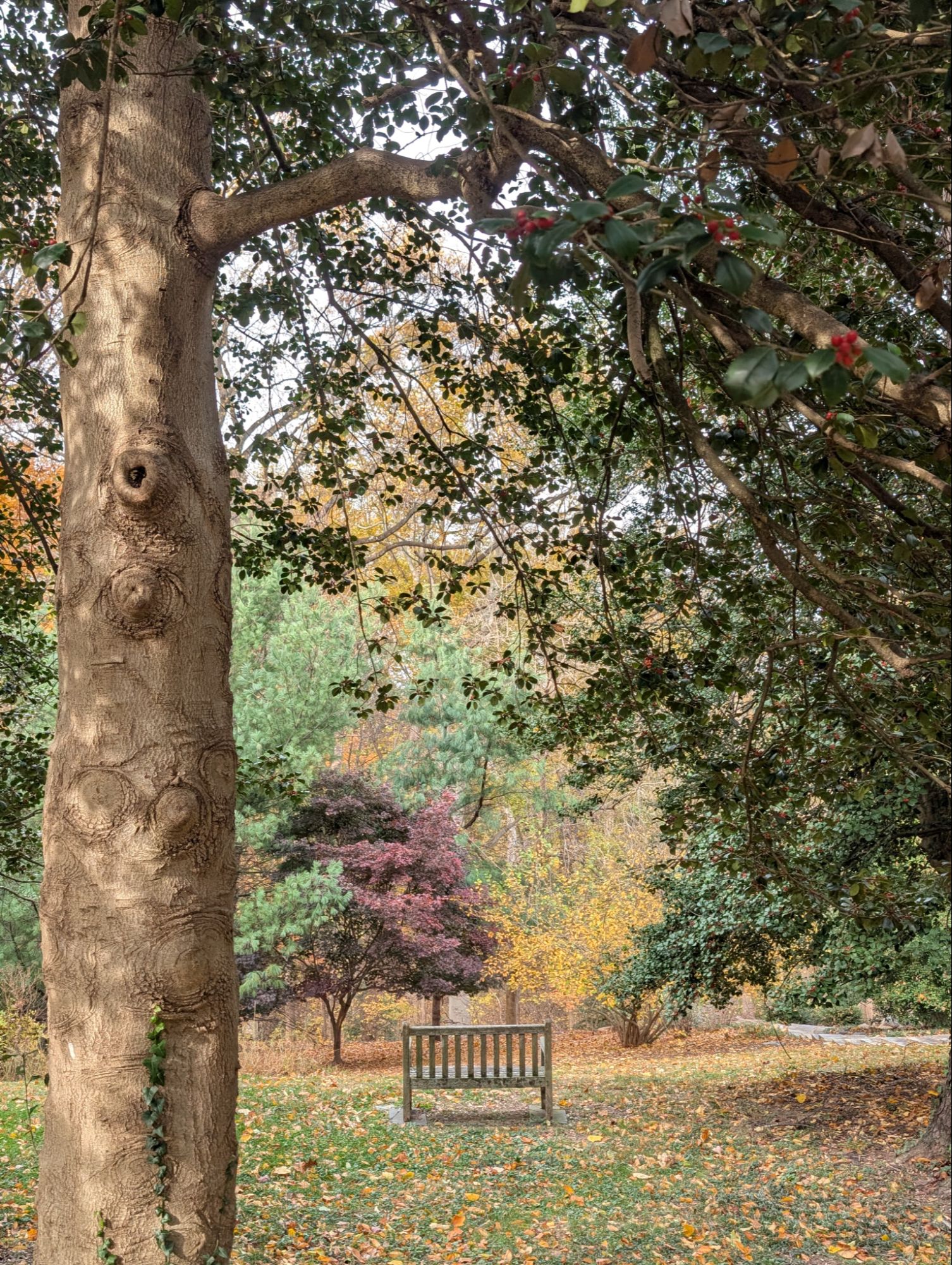 Bench at Fort CF Smith Park in Arlington Va