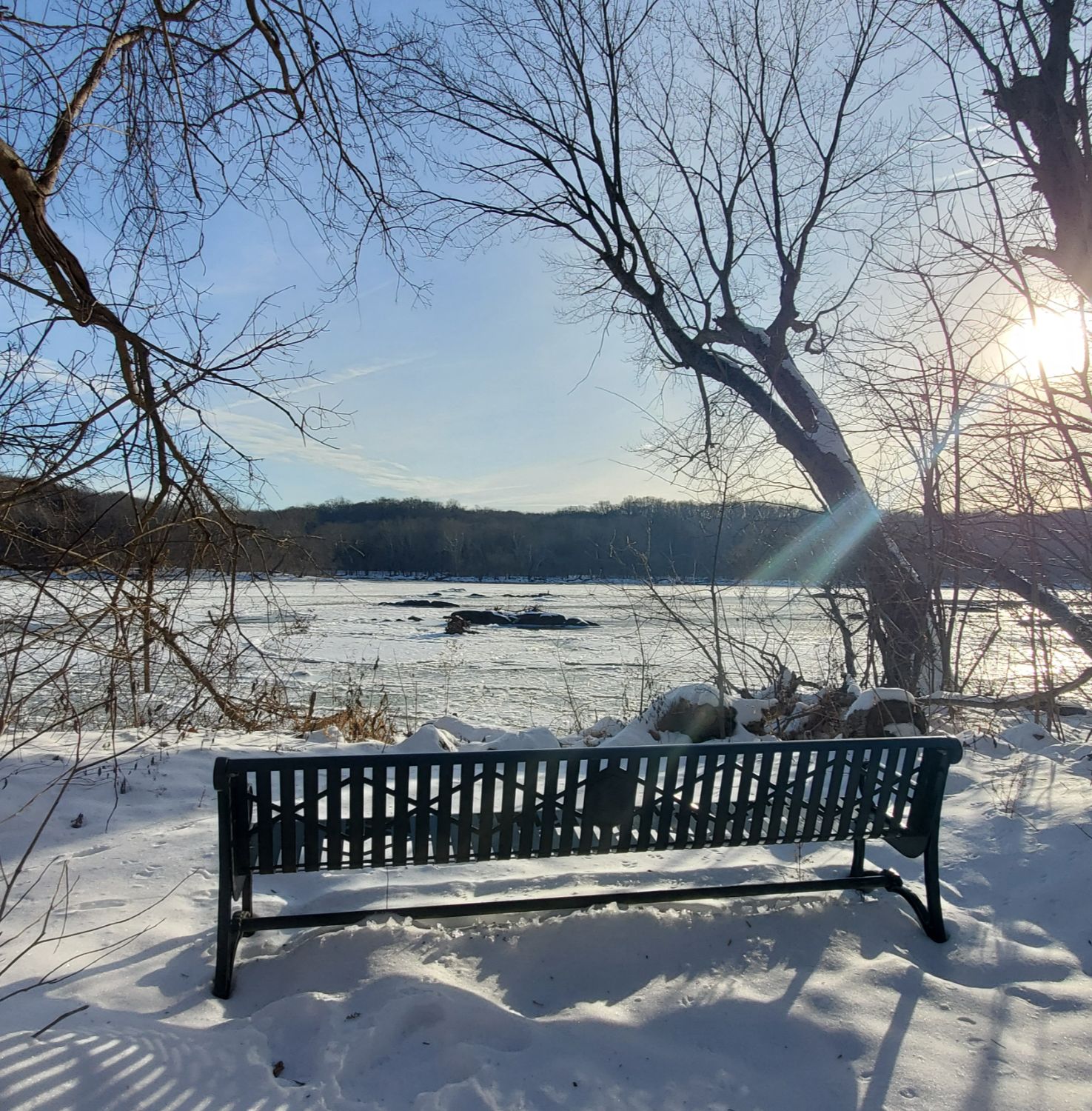 Bench in the snow overlooking the Icy Potomac River at Riverbend Park