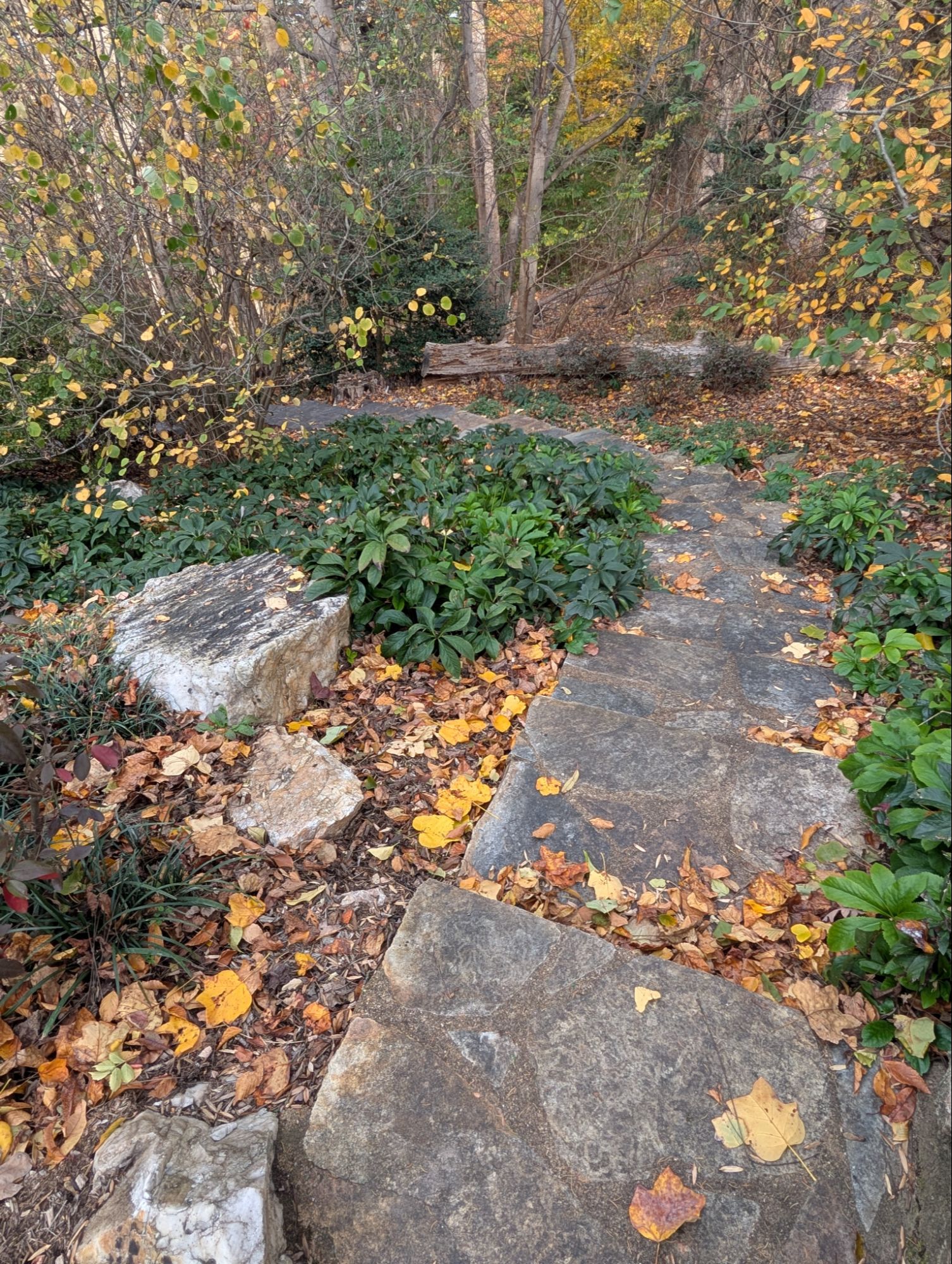 Sloping trail at Fort C. F. Smith Park near Woodmont in Arlington VA