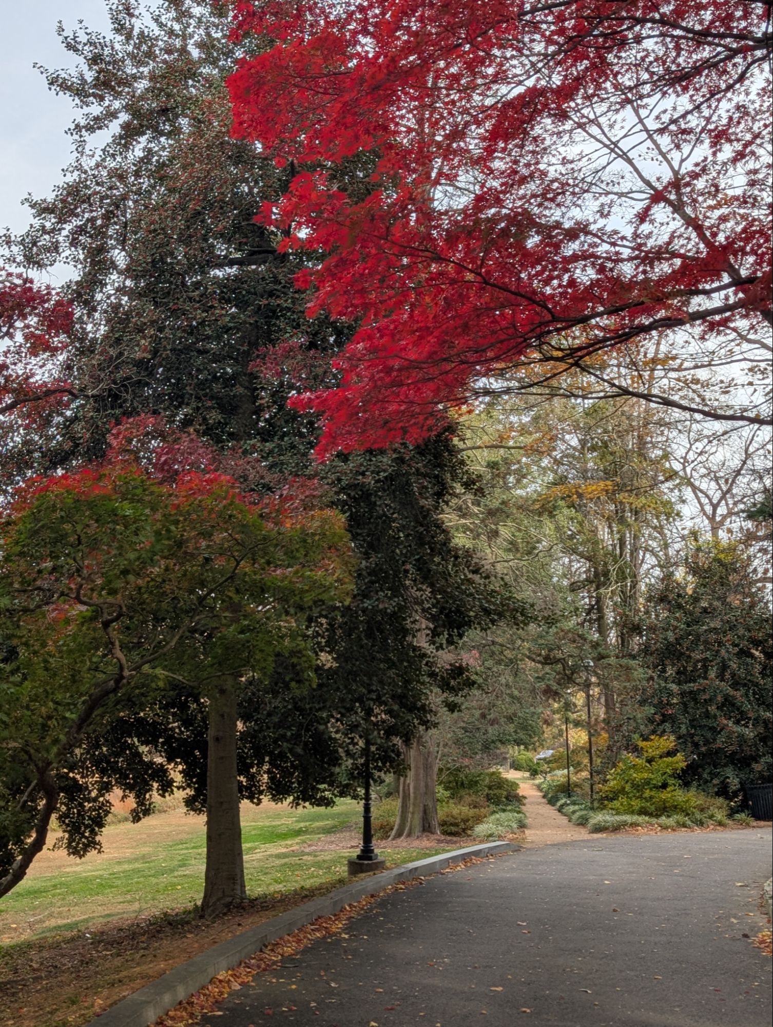 Fall walkway at Fort C. F. Smith Park near Woodmont in Arlington VA