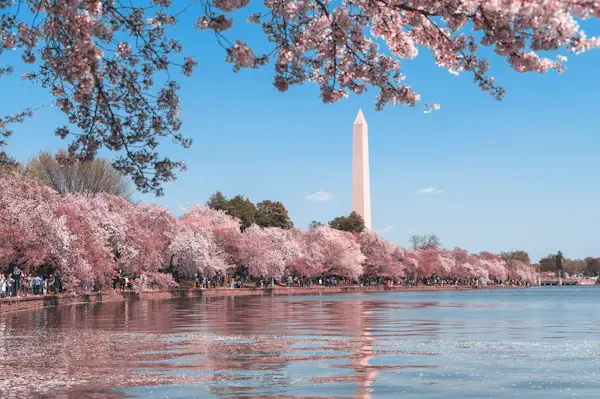 DC's HPAP Program: Up to $202,000 in Homebuyer Assistance,Arslan Jamil