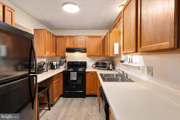 303 SUTTON CT, Winchester, VA 22601