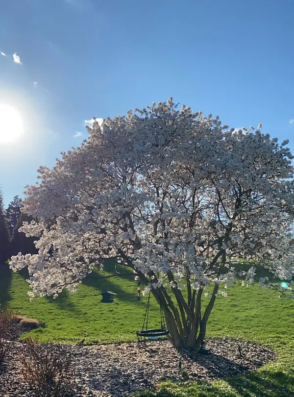 Spring in West Chester: Why Sellers Have Been Waiting for This Market,Laura Kaplan