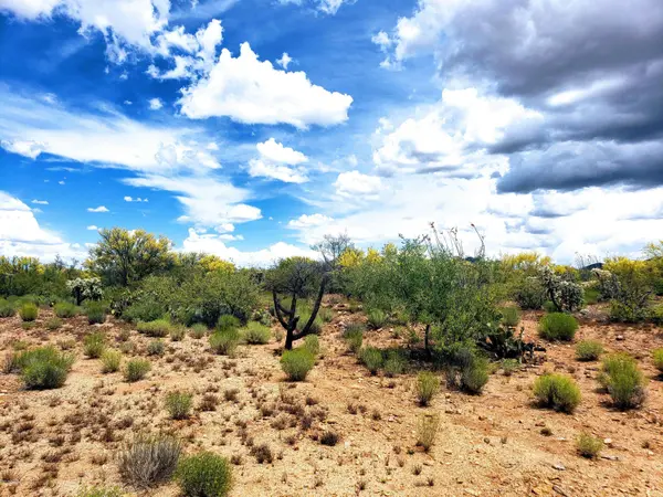 16370 W RENNER Avenue #231, Tucson, AZ 85736