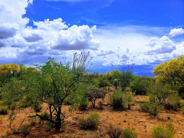 16370 W RENNER Avenue #231, Tucson, AZ 85736