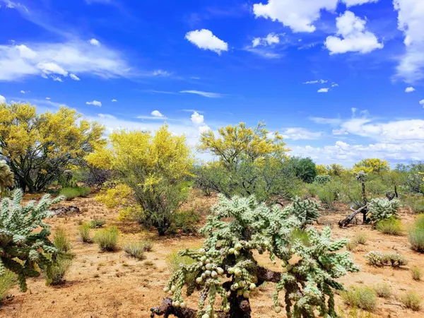 16370 W RENNER Avenue #231, Tucson, AZ 85736