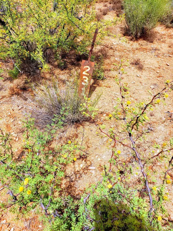 16370 W RENNER Avenue #231, Tucson, AZ 85736