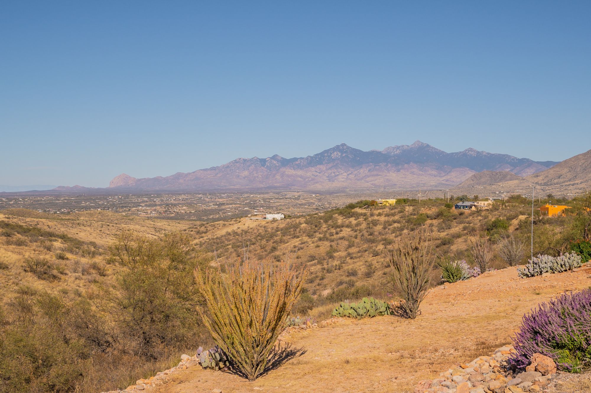 Rio Rico - Homes for Sale - Brent Self - Embarc Realty