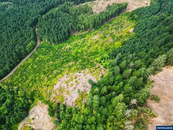 Lot 200 Marks Ridge Dr, Sweet Home, OR 97386