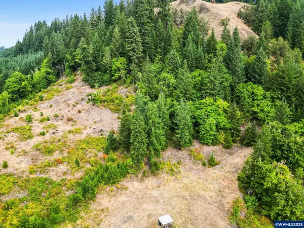 Lot 200 Marks Ridge Dr, Sweet Home, OR 97386