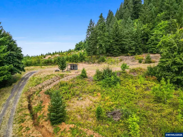 Lot 200 Marks Ridge Dr, Sweet Home, OR 97386