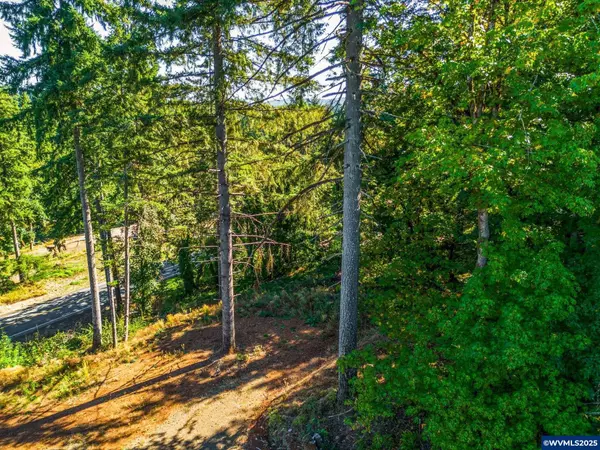 40080 Highway 228 Hwy, Sweet Home, OR 97386