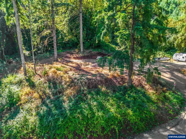 40080 Highway 228 Hwy, Sweet Home, OR 97386