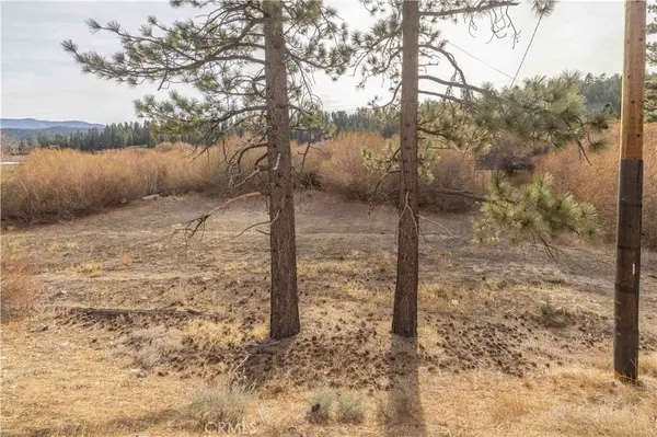 39271 Seminole, Fawnskin, CA 92333