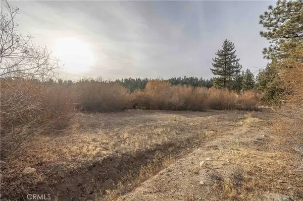 39271 Seminole, Fawnskin, CA 92333