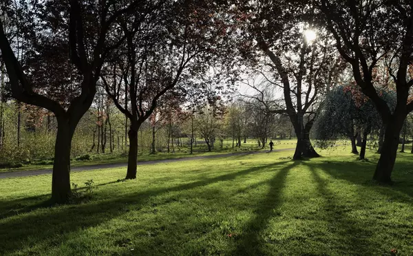 Beat the Heat in Ventura County,Cares Collective