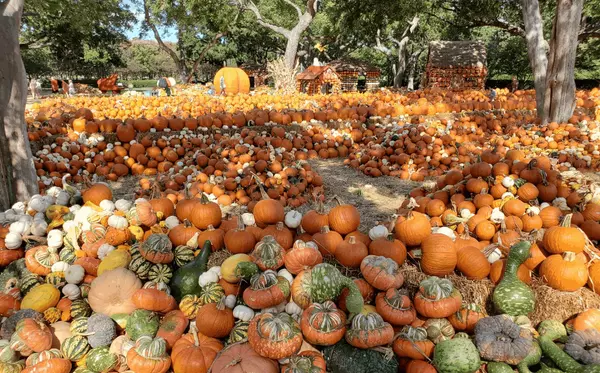 Best Pumpkin Patches & Fall Festivals in Ventura County 2025