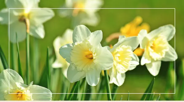 Ventura County Events You Don’t Want to Miss