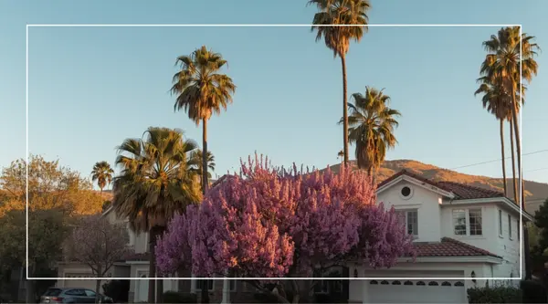 Spring Surge: What We’re Seeing in Ventura County Right Now