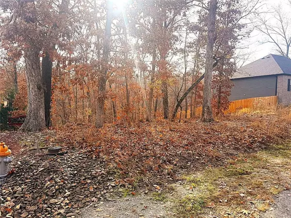 14 Ayton Ln, Bentonville, AR 72714