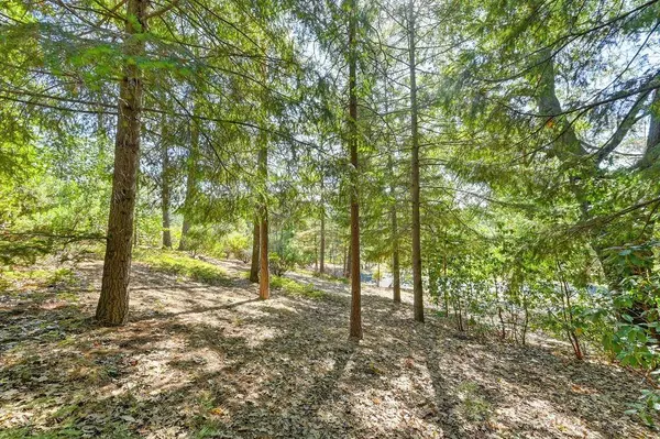 4630 Rosarno PL, Foresthill, CA 95631