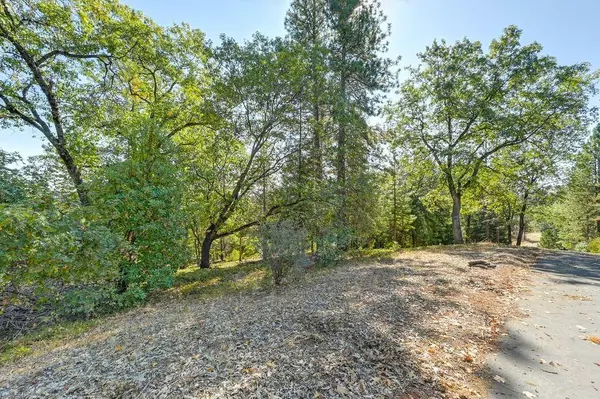 4630 Rosarno PL, Foresthill, CA 95631