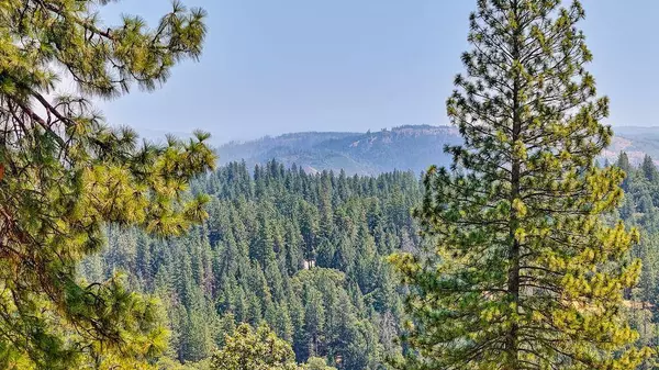 6459 Longridge CT, Foresthill, CA 95631