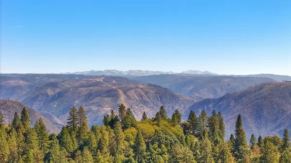 6236 Church ST, Foresthill, CA 95631