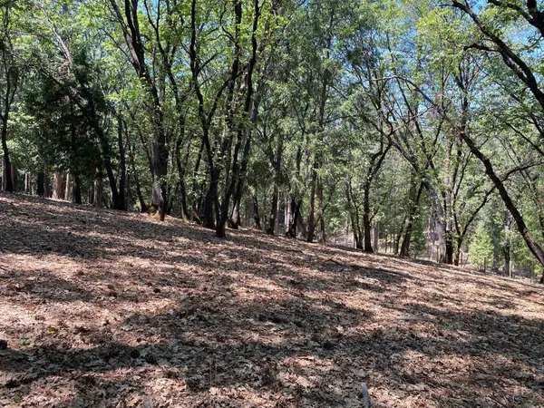 33 Nugget DR, Foresthill, CA 95631
