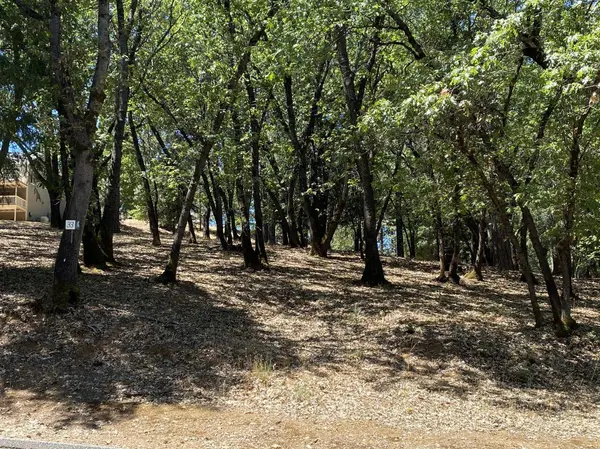 33 Nugget DR, Foresthill, CA 95631
